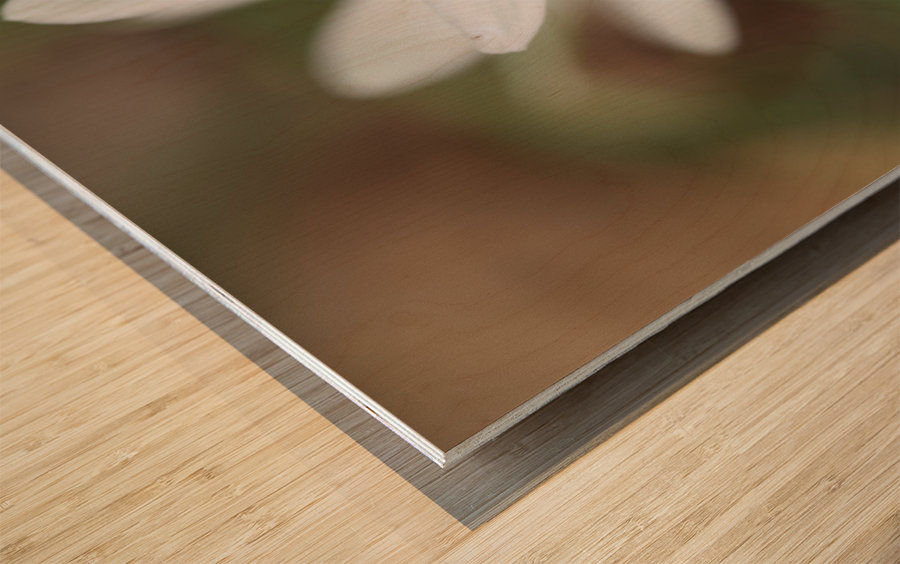 Tiniest World Wood print