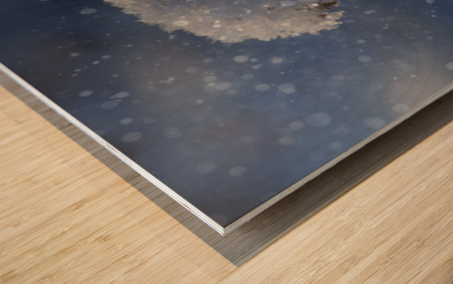 Frozen Top Impression sur bois