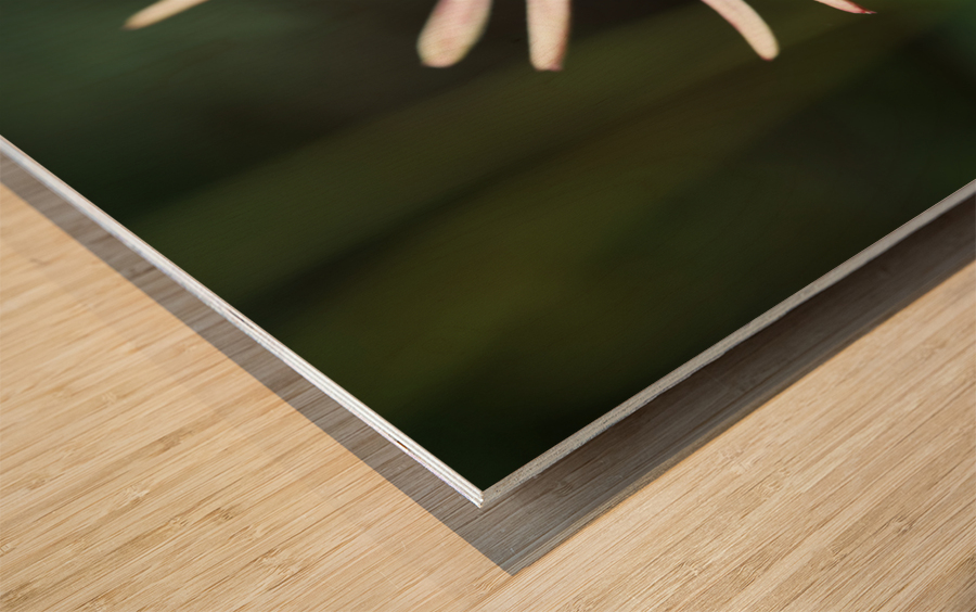 Good Morning Wood print