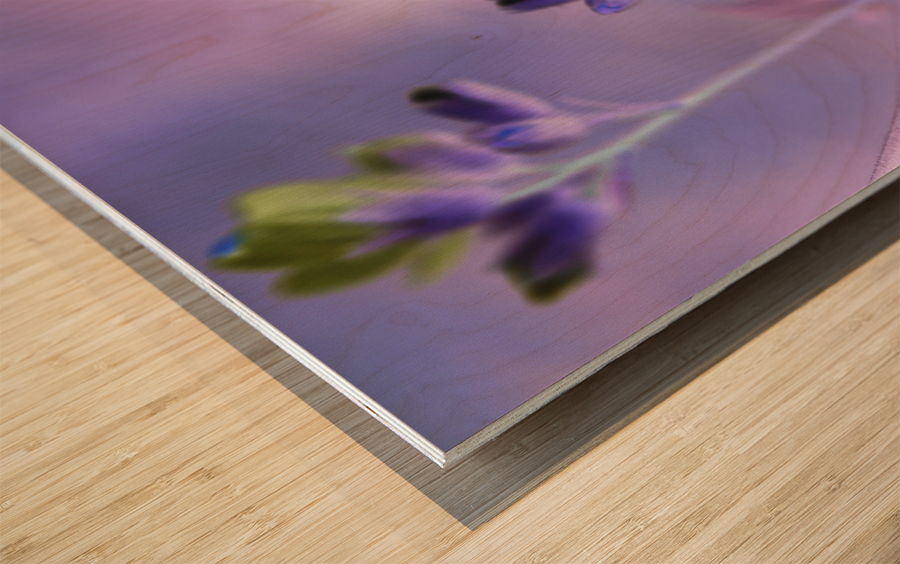 Jacob s Ladder Wood print