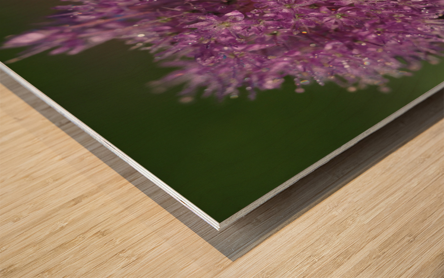 Jewels In Nature Wood print