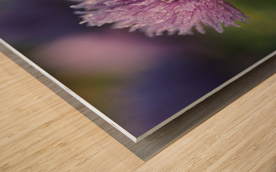 Dewy Chive Wood print