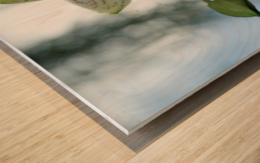 Ornamental Orchid Wood print