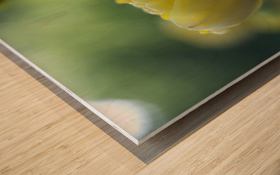 In My Dream Wood print