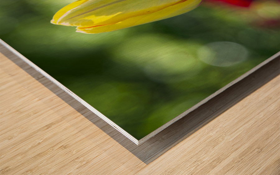 The Yellow One Wood print