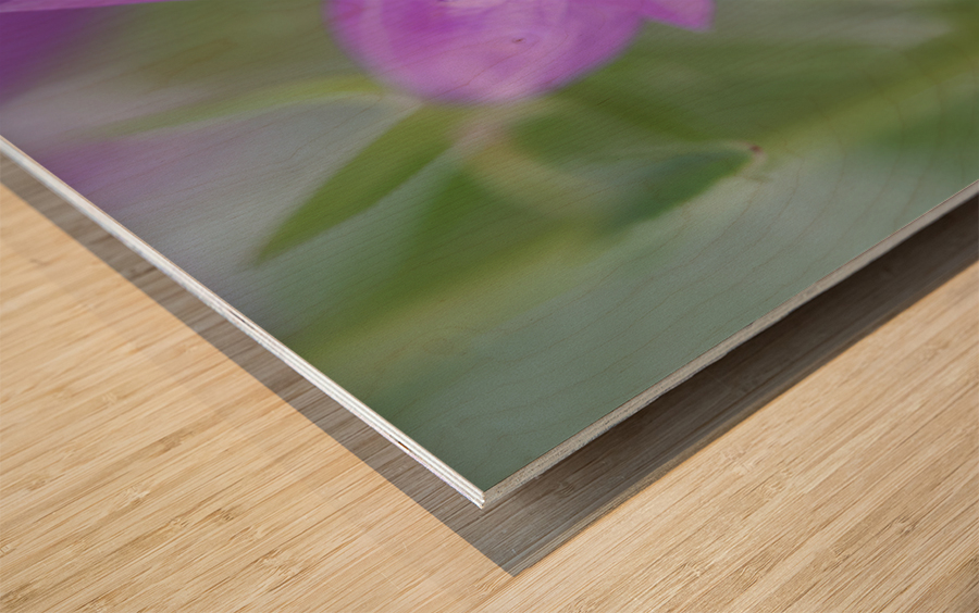 Purple Bell Wood print