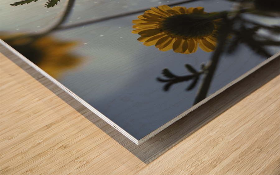 Ant Eye View Wood print