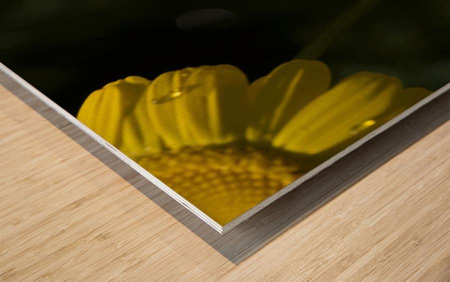 Charming Lady Wood print