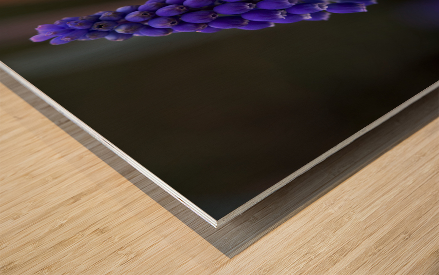 Tiny Blue Bulbs Wood print