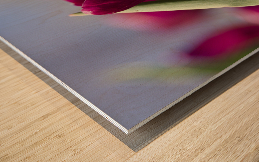 Oh Sunny Day Wood print