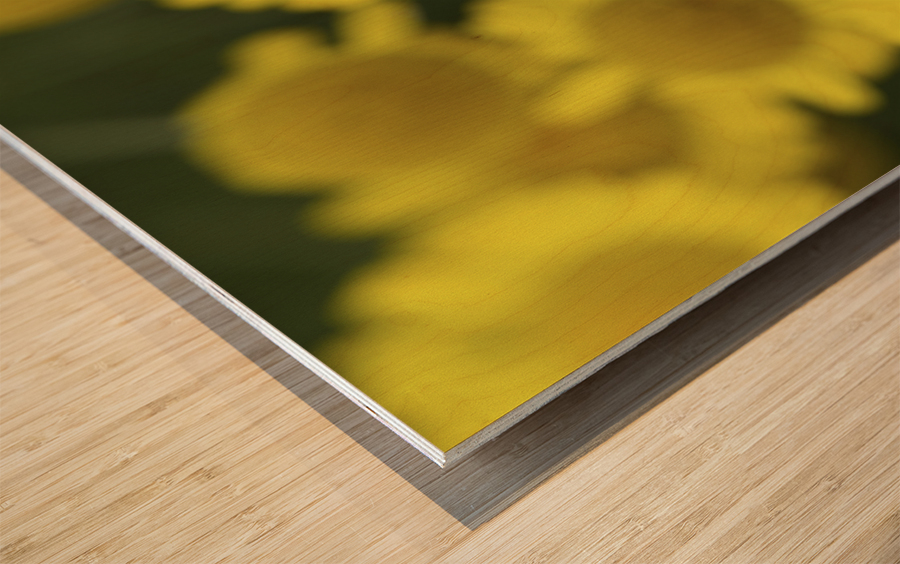 Summer Afternoon Wood print