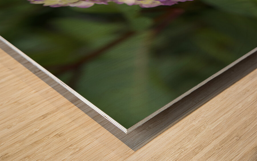 Endless Summer Wood print