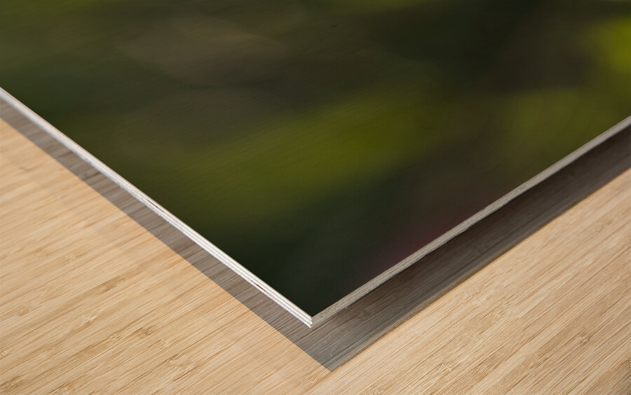 Broken Bowl Flower Wood print