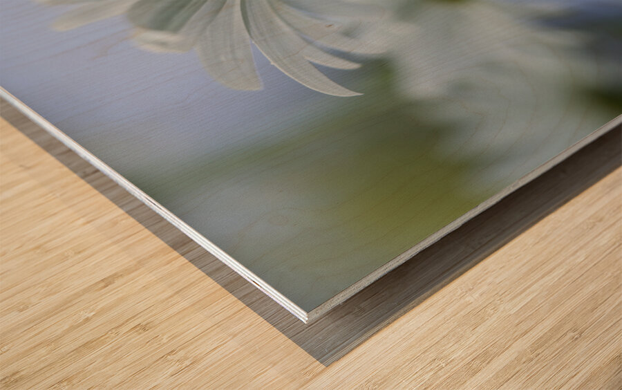 From Under Wood print