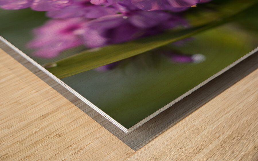 Purple Flame Wood print