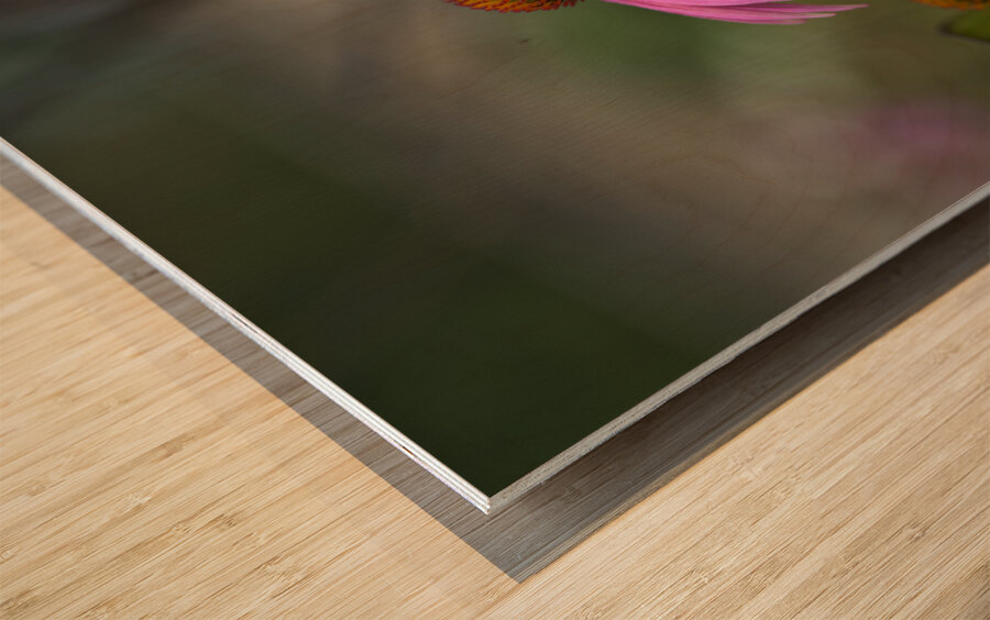 Ladies in Pink Wood print