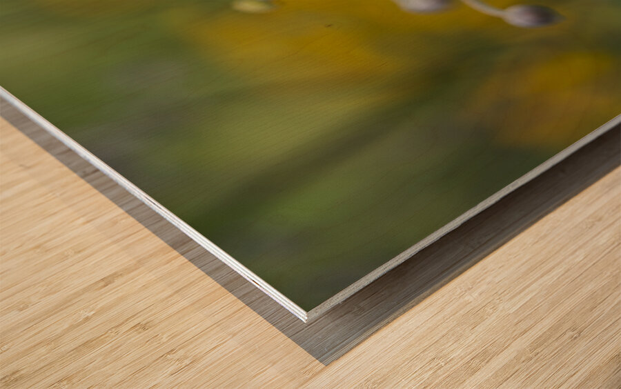 Pretty Lovely Impression sur bois