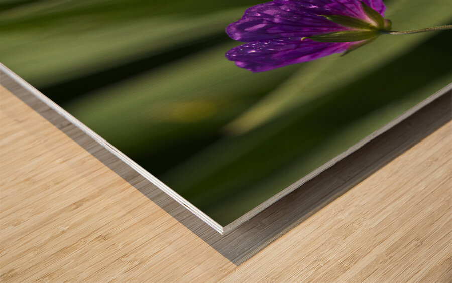 Purple Pretty Impression sur bois