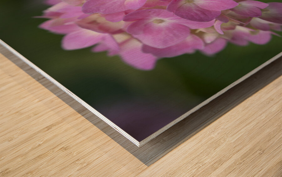 Tea of Heaven Wood print