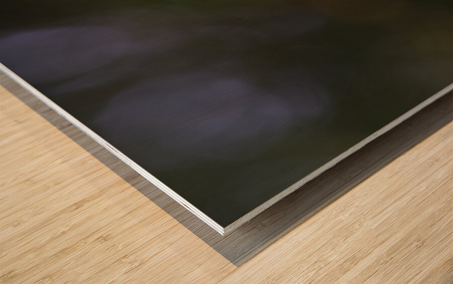 Spring Snowflake Wood print