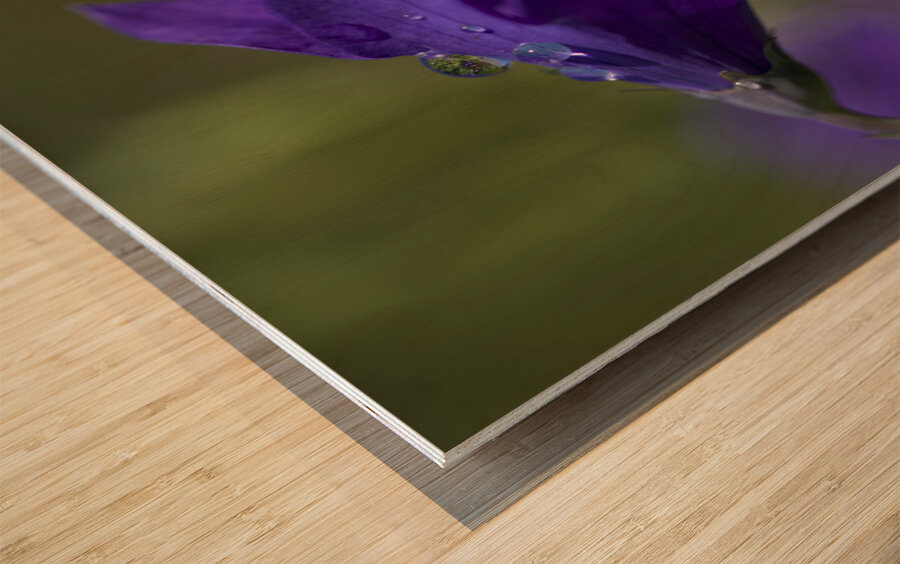 Water Drop Refraction Wood print