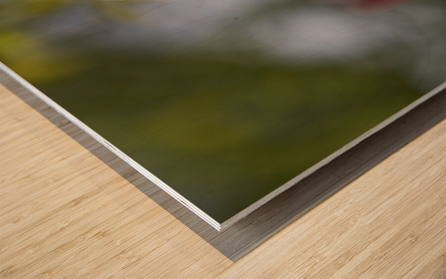 The Graceful Wood print