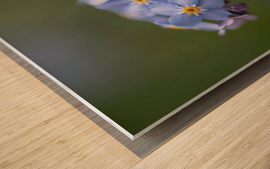 Scorption Grasses Wood print