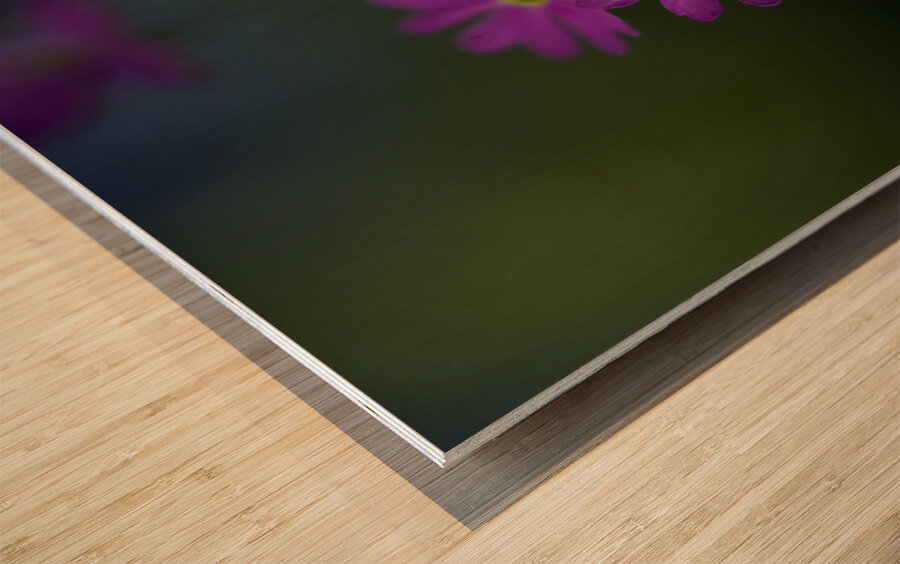 Dainty Blossoms Wood print