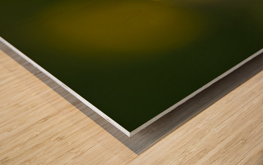 Golden One Impression sur bois