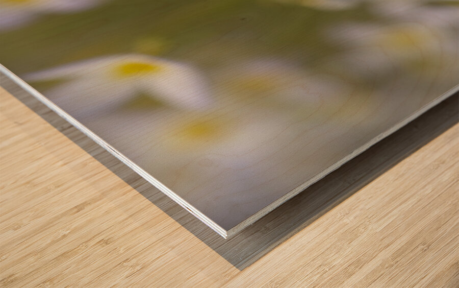 Pretty Ladies Wood print