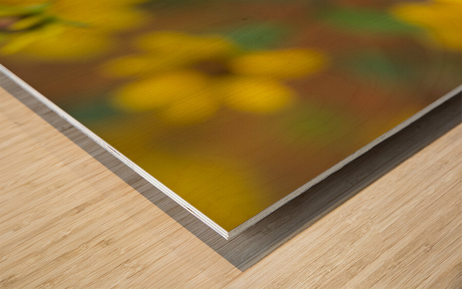 Black Eye Wood print