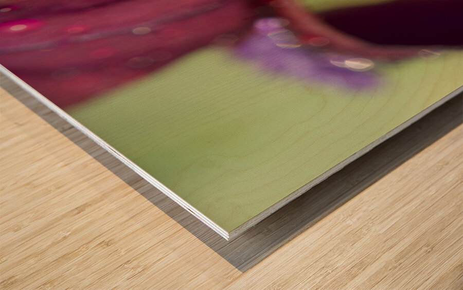 Purple Beard Wood print