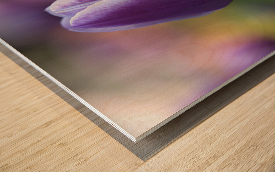 The Purple One Wood print