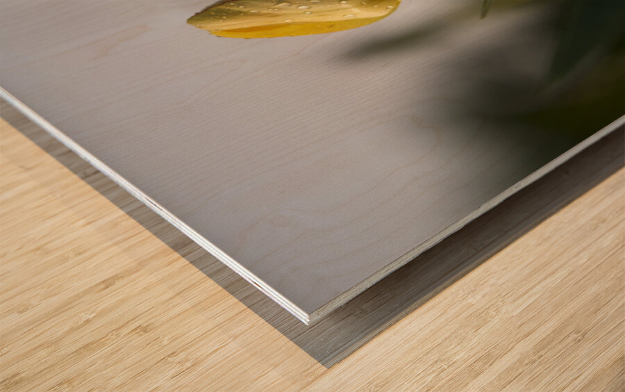 Dreamy Beauty Wood print