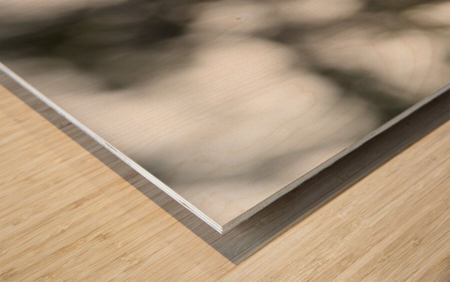 Purply Blue Beauty Wood print