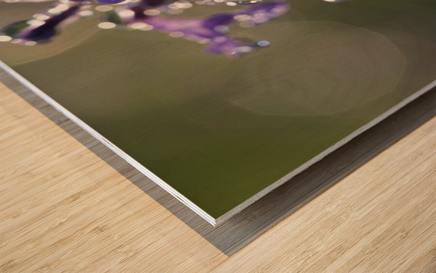 Drops and Bokeh Wood print