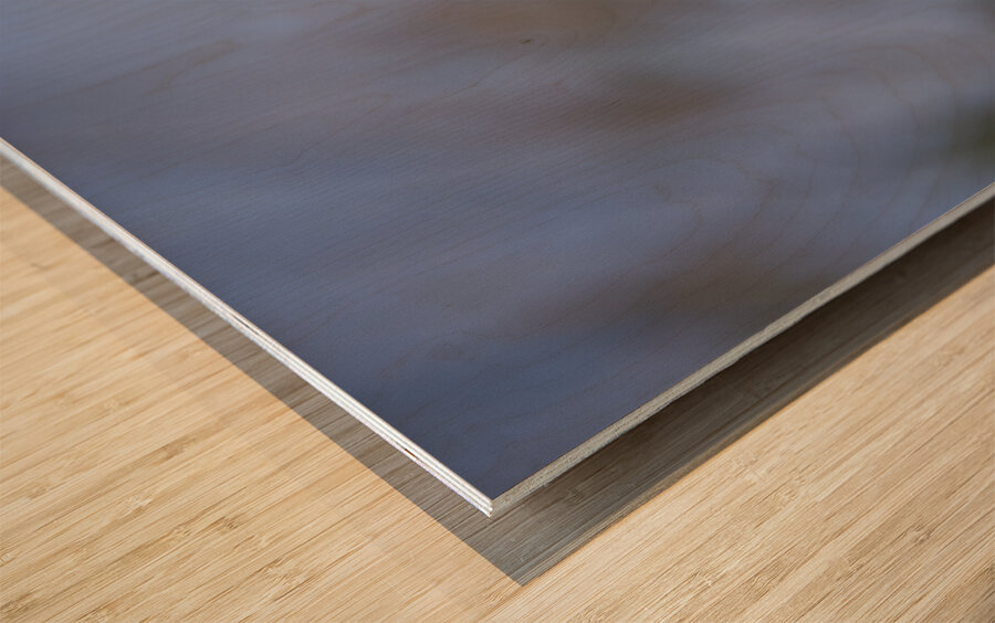 Lady in Purple Wood print