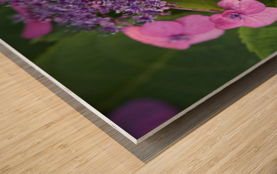 Showy Ladies Wood print