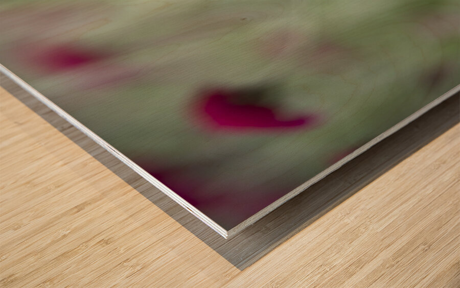 Lovely Ladies Wood print