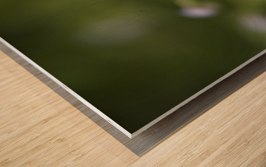 Tiniest Bouquets Wood print