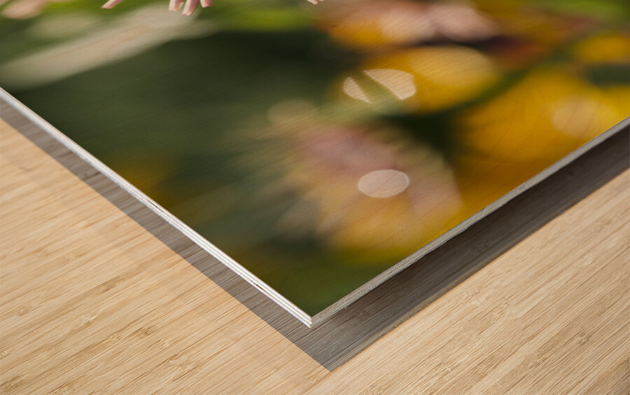 Early Morning Beauty Wood print