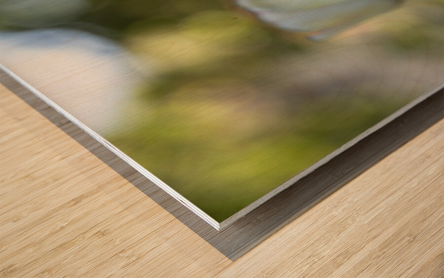 Pure and Simple Wood print