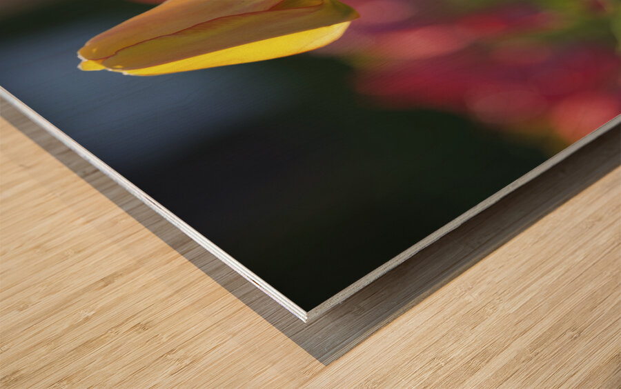 Two of a Kind Wood print