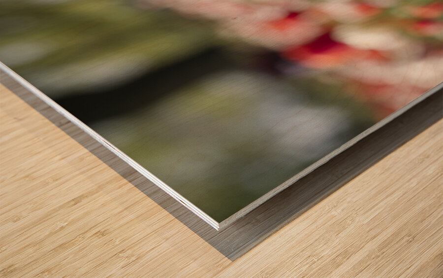 The Queen Wood print