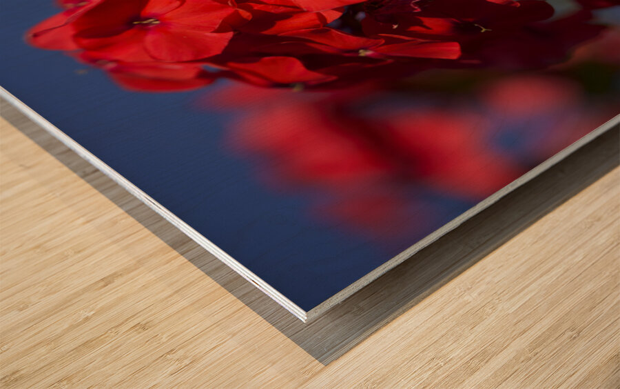 Pretty in Red Wood print