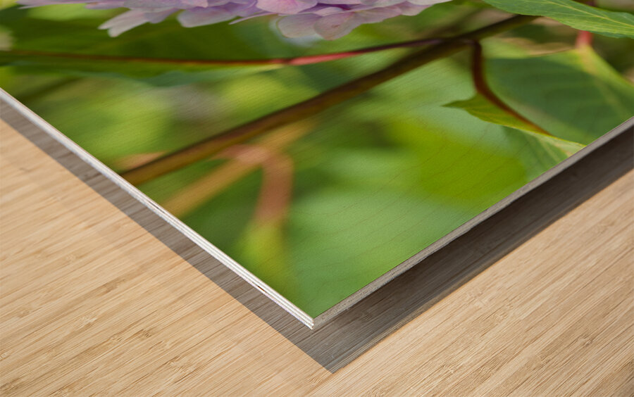 Pretty in Purple Wood print