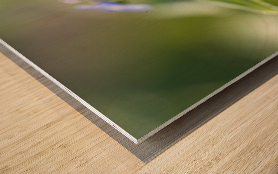 Pretty Ones Wood print