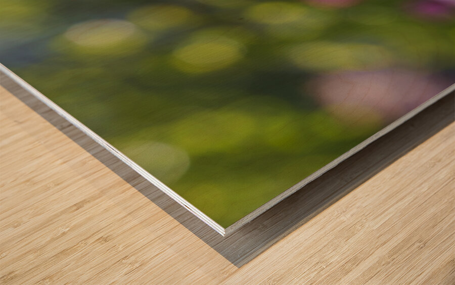 Looking Good Wood print