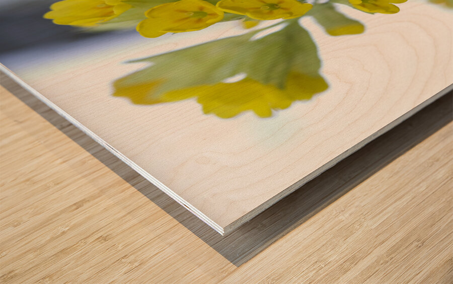 Mes Jolies Wood print