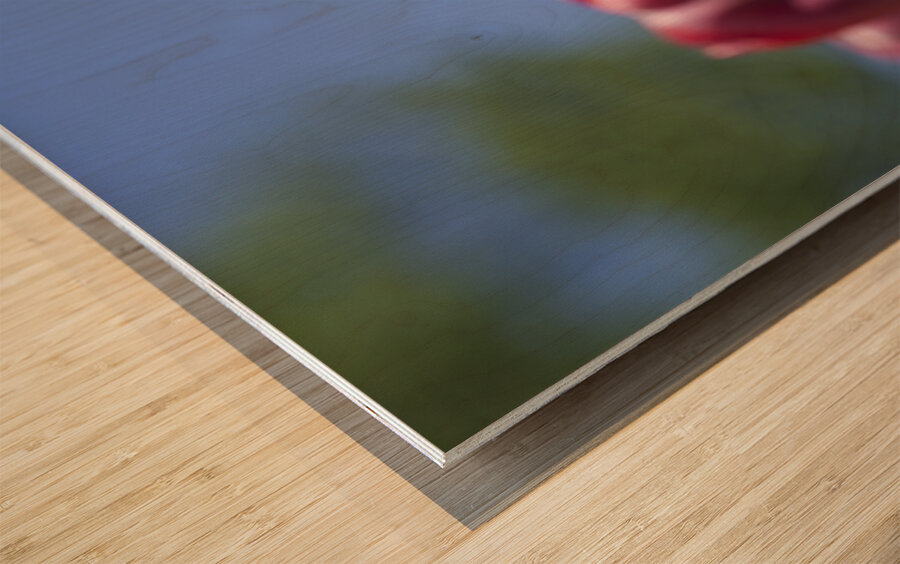 Oh Mother Wood print